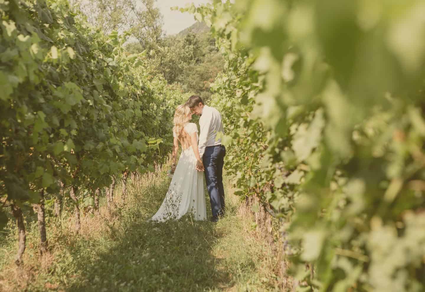 Vineyard Weddings Bodas en Viñedos